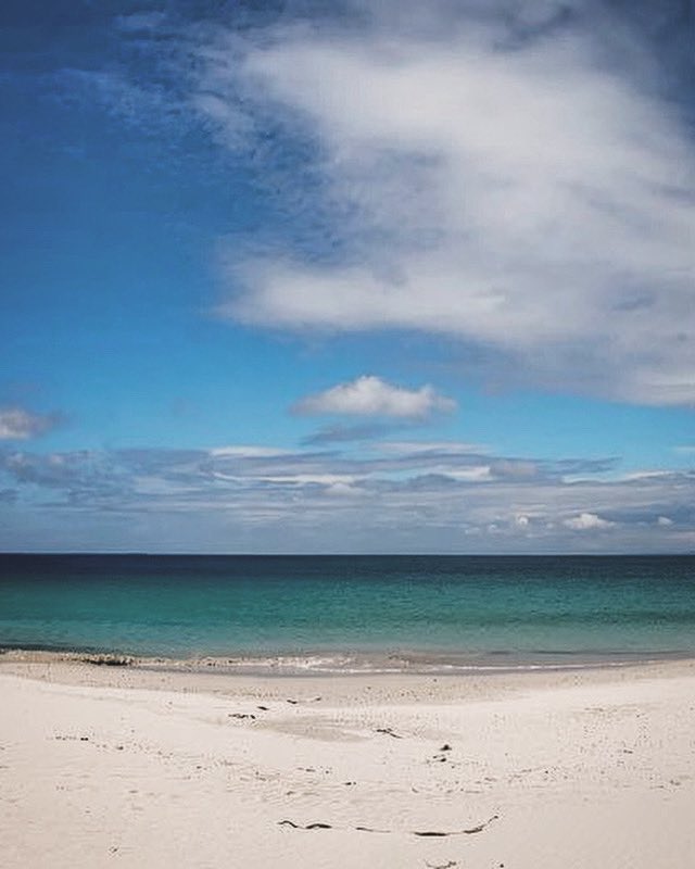 DaliMach tweet media