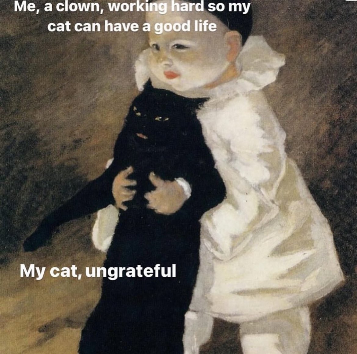 Punch Cat tweet media