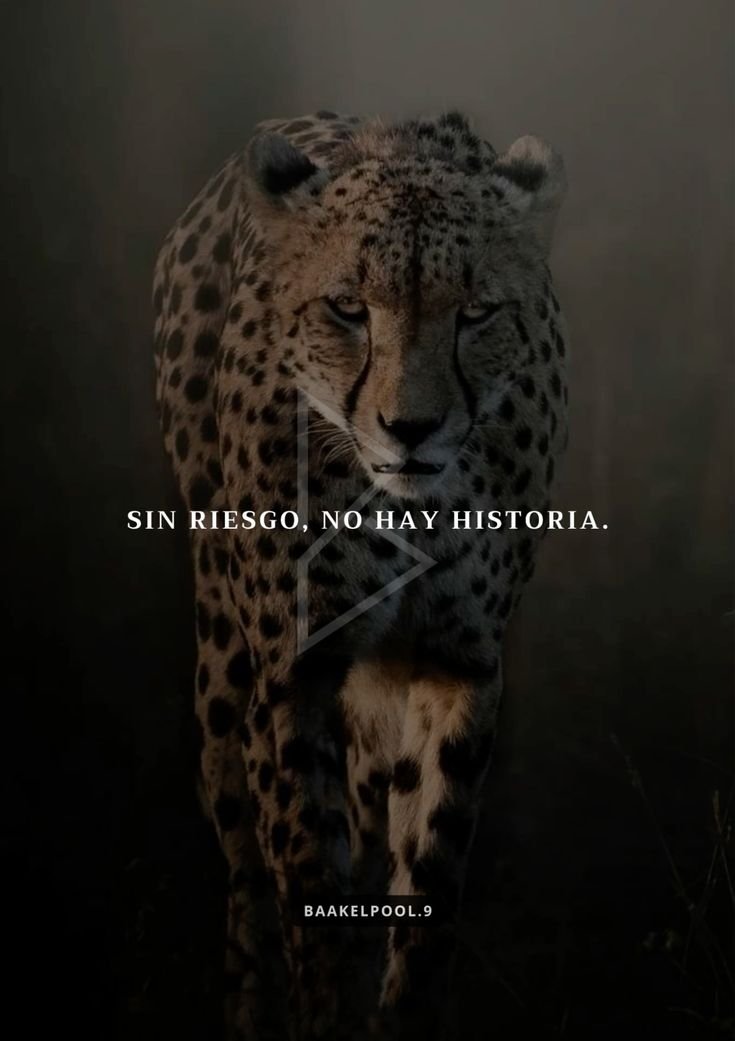 Axel Diaz (@axelkdiaz) on Twitter photo 