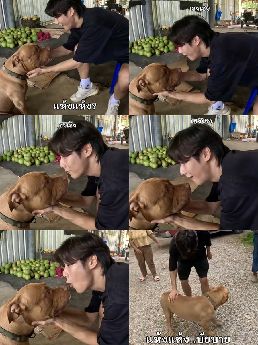จริงๆโผ้มชื่อ “เฮงเฮง” ครับ 555555555
แห้งแห้ง บัยบายยย 🐶😂 #พี่จอง  #คัลแลนพี่จอง