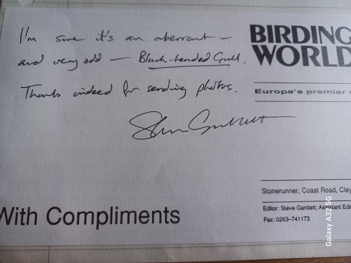 Pete Coleman tweet media