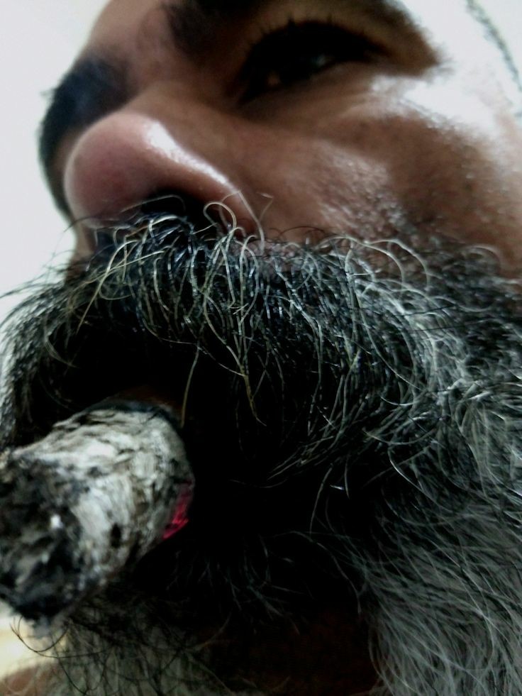 <a href="/goonsmokers/">The Brotherhood of Schlong (NSFW!) 18+</a> <a href="/BullCalf2Grow/">Growing Bull</a>