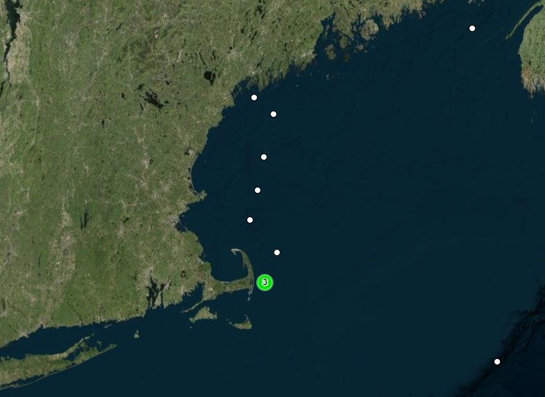 Current locations of our 11 tagged great shearwaters! The team is on the water again today- stayed tuned for updates!
#trackseabirds #birds #seabirds #Science #BirdsOfTwitter