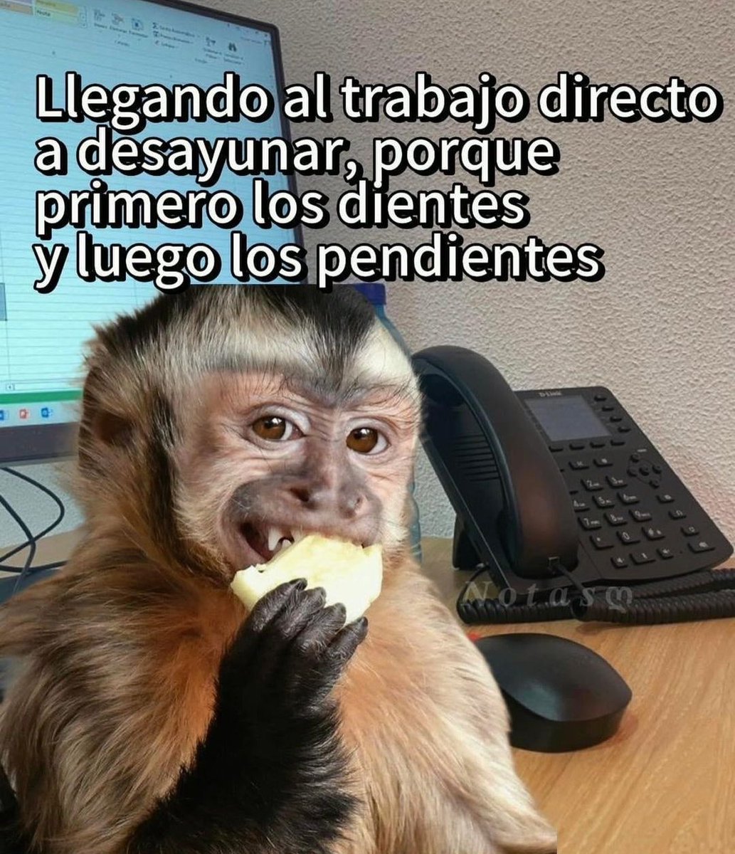 soylaalterna2's tweet photo. Tal cual 🤭 https://t.co/KUrtJhUFas