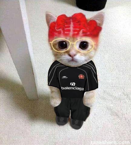 softwiu's tweet photo. catwiu atualizado 2024 https://t.co/Tas6BmSSd9