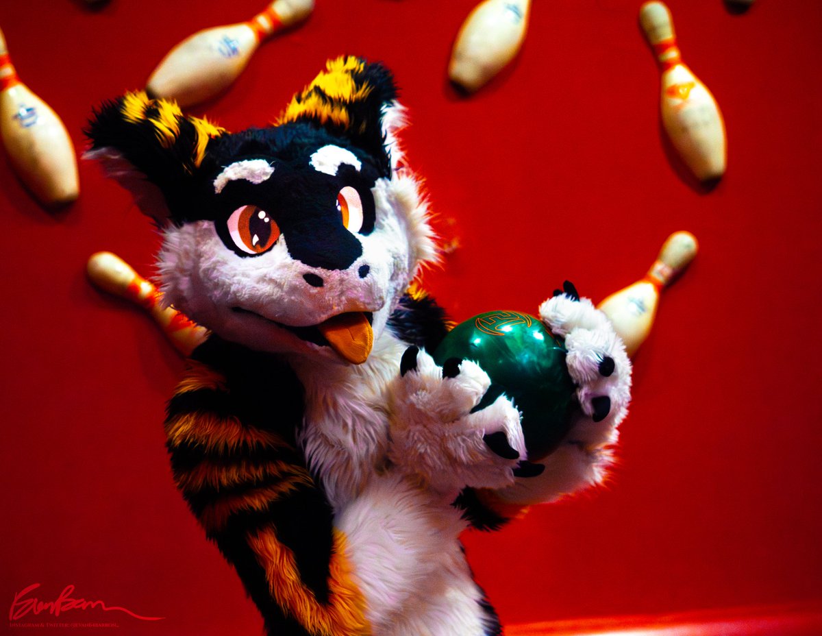 evanbarronphoto's tweet photo. Just a silly little 🧀!!!
👤: @SilySox
~~~🏷🏷🏷🏷🏷~~~
#furry #fursona #fursuit #fursuitphotography #furryphotography #bowlero #dfwfurs https://t.co/PqjfbL4zuU