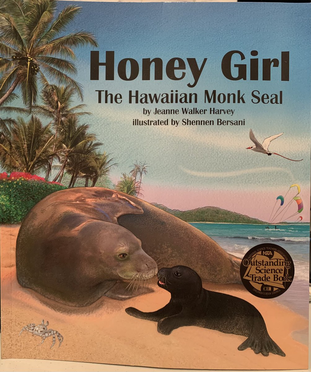 ShennenBersani's tweet photo. I’ve got two books for these - Astro: The Steller Sea Lion and Honey Girl: The Hawaiian Monk Seal @JeanneWHarvey @ArbordaleKids #illustrator #kidlit #picturebook #nonfiction #animalbiographies https://t.co/lenWKTK7a6
