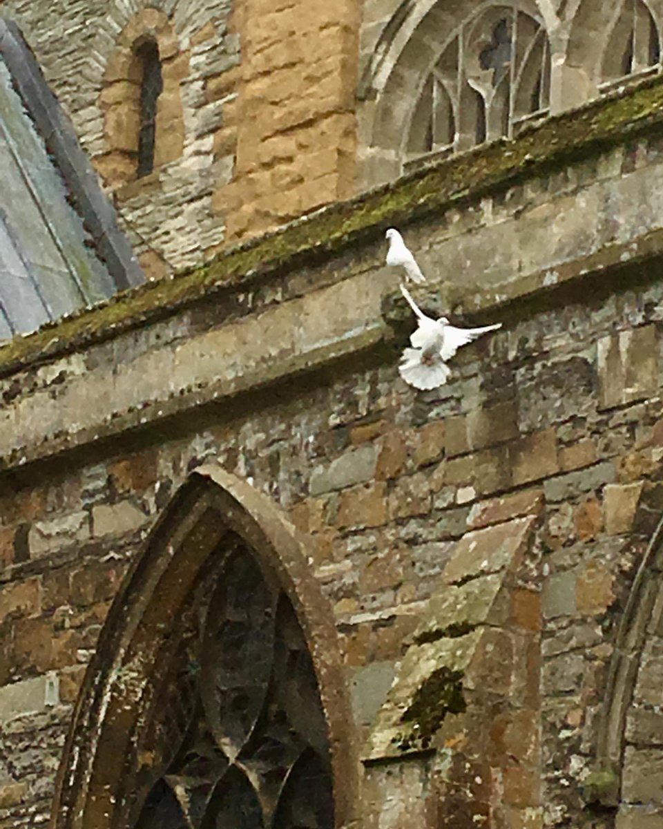 bondbooks's tweet photo. Psalms are the anatomy of the human heart, every raw sinew laid bare: โFear and trembling come upon me, and horror overwhelms me. And I say, โOh, that I had wings like a dove! I would fly away and be at restโ (Psalm 55:5-6) #psalmsofdavid #oxfordcreativewritingmasterclass https://t.co/PTPSwesB2A
