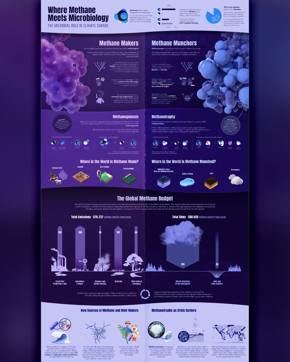 NEW PIECE: The Microbial Role of Climate Change

Check out this infographic I made with @environmicrobio that introduces this unique intersection between methane, microbes, and climate change!

#microbiology #methane #microbes #enviromicrobio #biogeochem #infographic #science