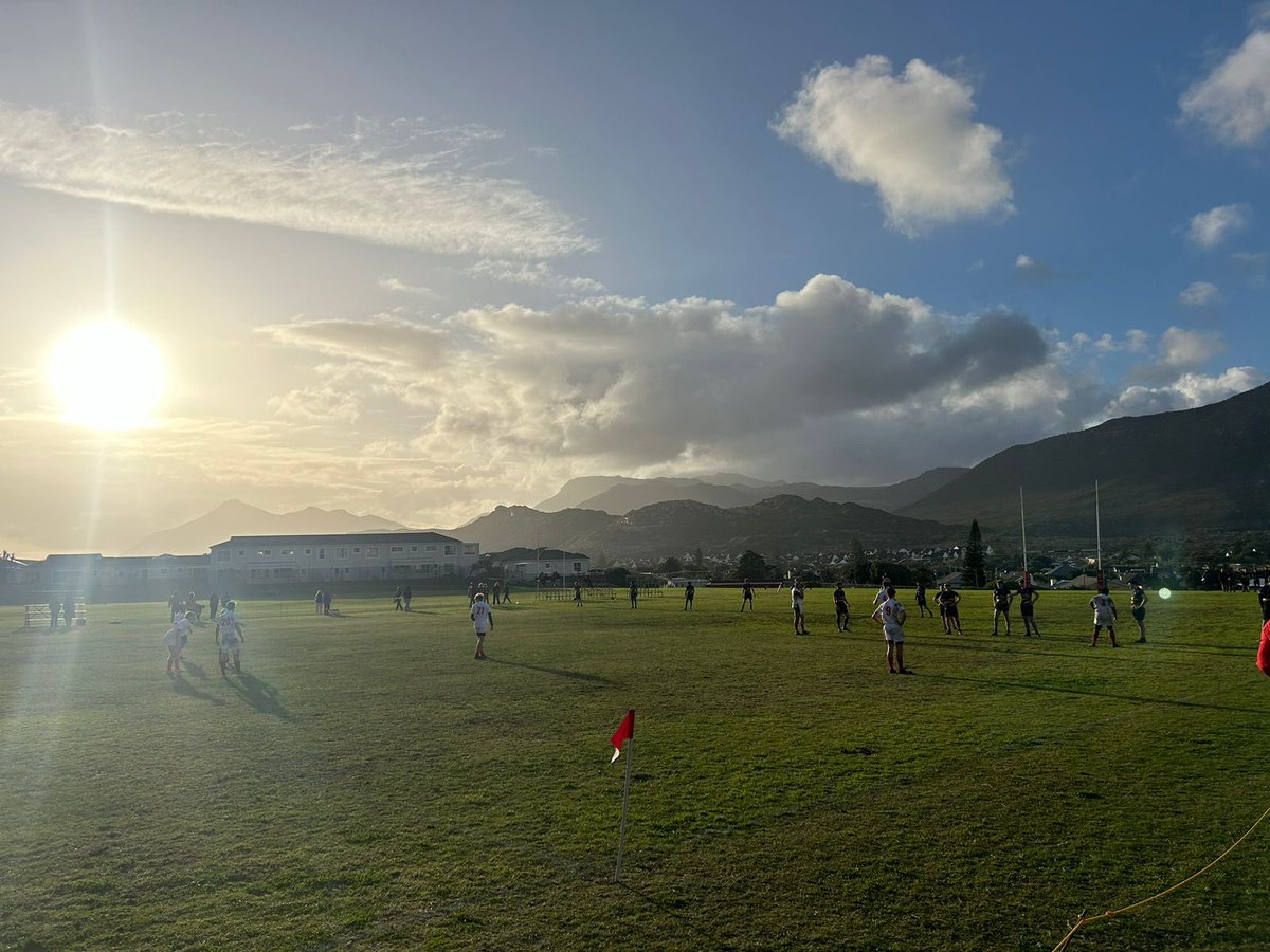 Eltham College Rugby tweet media