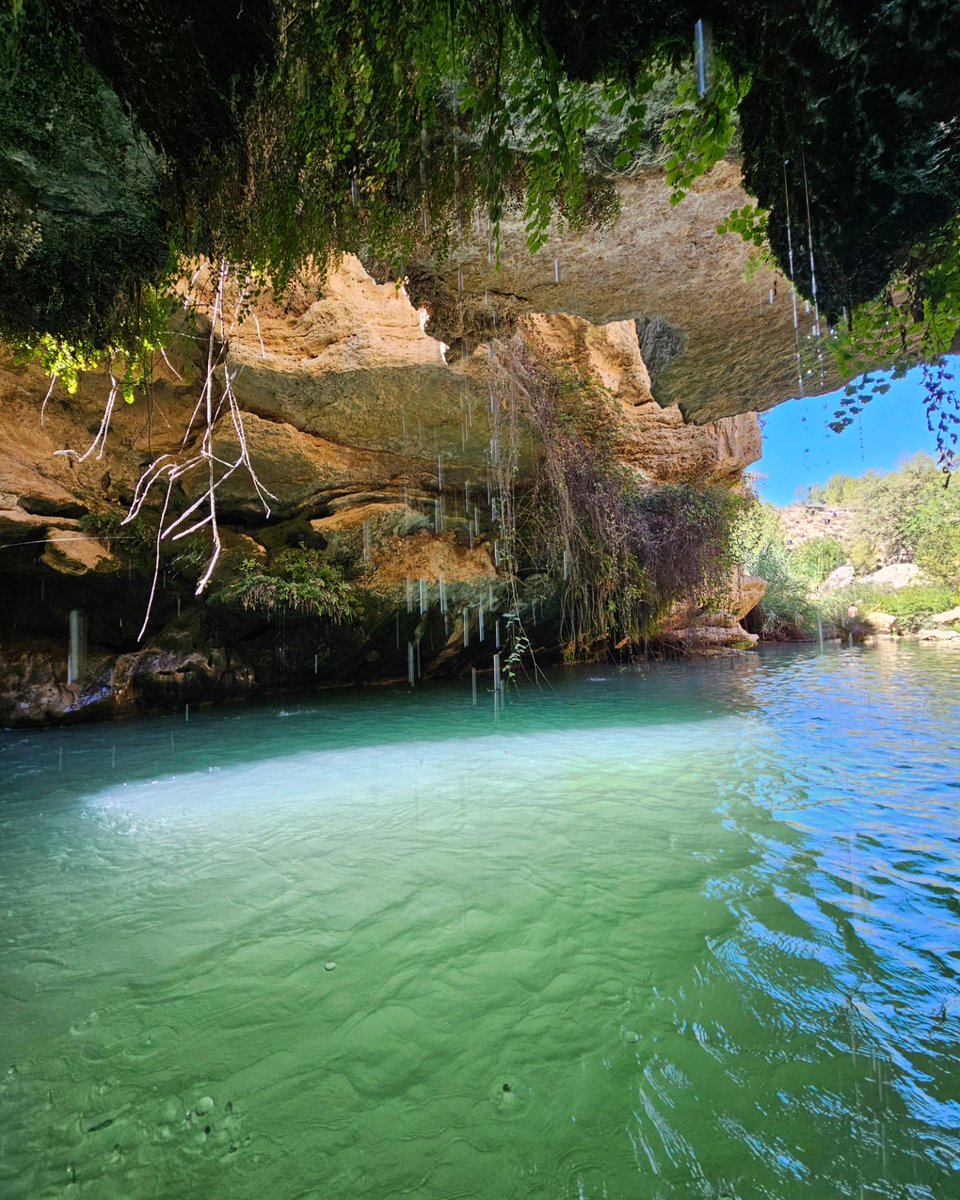 ¡Sensación refrescante! En estos primeros días de #julio2024, visita al Paraje Natural #SaltoDelUsero, #Bullas (#Murcia). Encajonamiento del #RíoMula, morfología en bóveda y cascada. Si quieres ir de aquí al 15 de septiembre, reserva bullas.es/turismo/reserv…. Imágenes: Omar Costa.
