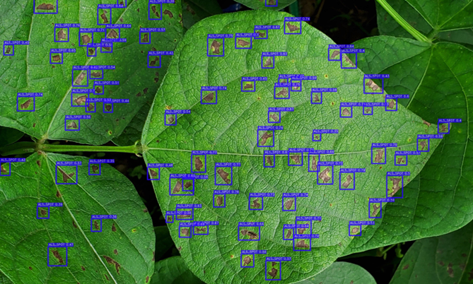 MICHAEL GOMEZ SELVARAJ - Phenomics Lab tweet media