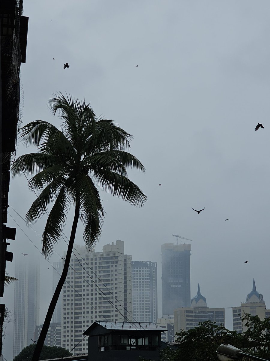 ana__2019's tweet photo. Perfect rainy day in Mumbai 💕 
.
.
#MumbaiWeather #MumbaiRains #Mumbai #MumbaiMeriJaan #rains https://t.co/zCex2Jv6kB