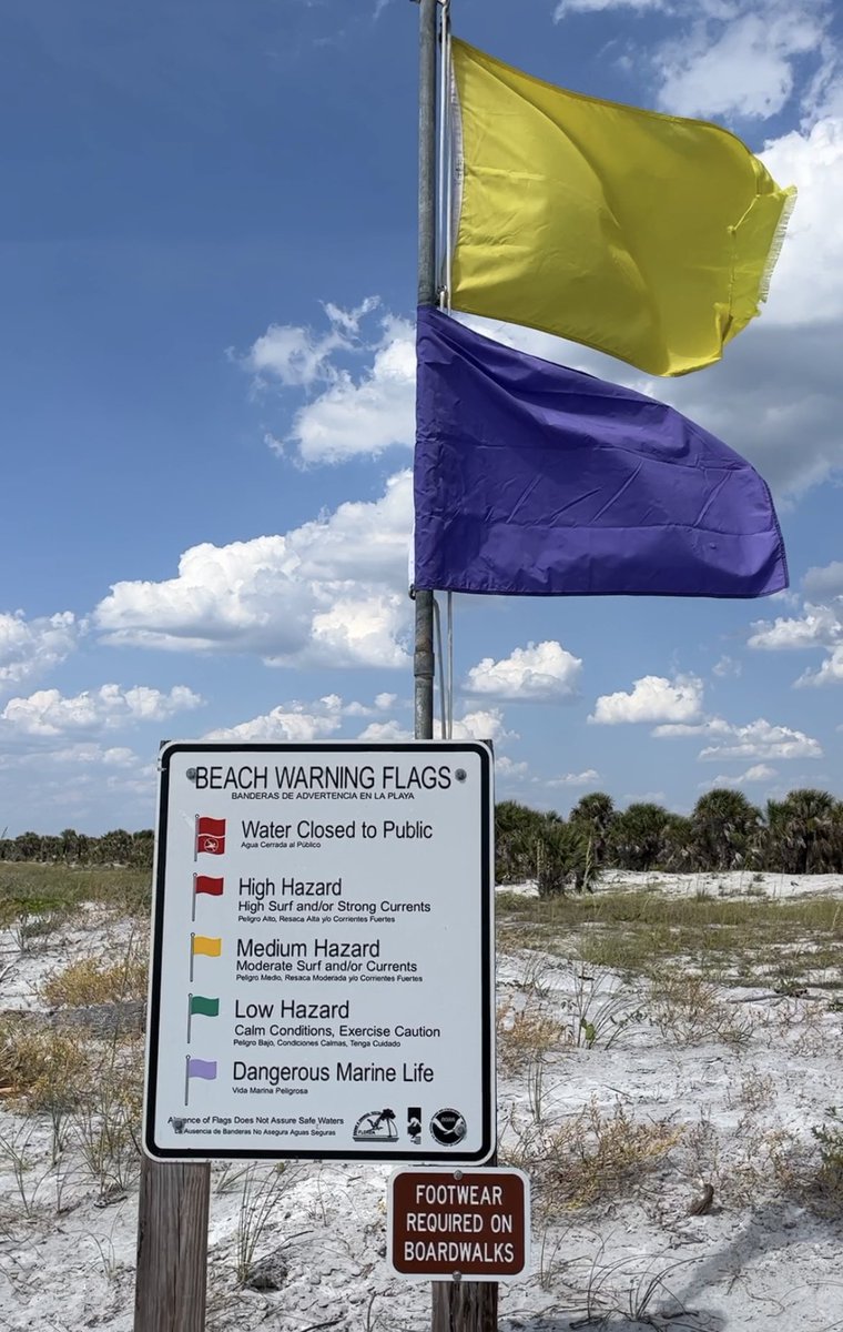 LiveaMemory's tweet photo. Let’s Wave Flags This Week With #Top4Flags Pics!
Join the #Top4Theme & Share Your Memories!😀
Tag @intheolivegrov1 @obligatraveler @OdetteDunn @pipeaway_travel
1. Stars & Stripes at #OhioState🏈
2. I Always Aim for the Flag⛳️
3. Beach Warnings🏖️
4. Me Taking the Checkered Flag!🏁 https://t.co/tcZuafrWR6