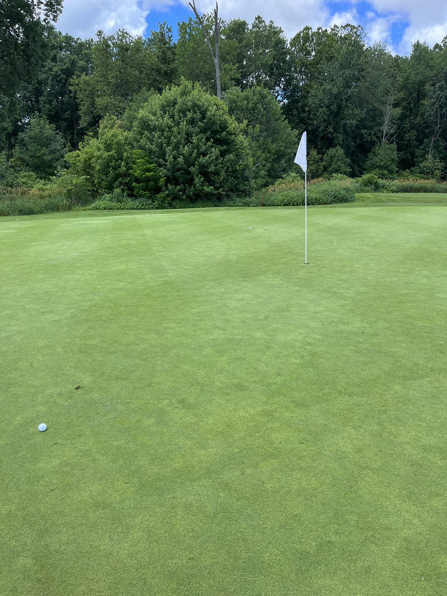 LiveaMemory's tweet photo. Let’s Wave Flags This Week With #Top4Flags Pics!
Join the #Top4Theme & Share Your Memories!😀
Tag @intheolivegrov1 @obligatraveler @OdetteDunn @pipeaway_travel
1. Stars & Stripes at #OhioState🏈
2. I Always Aim for the Flag⛳️
3. Beach Warnings🏖️
4. Me Taking the Checkered Flag!🏁 https://t.co/tcZuafrWR6