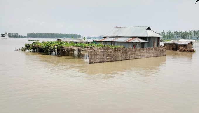 যমুনা ও ঝিনাই নদীর পানি কমলেও বিপৎসীমার ওপরে টাঙ্গাইলের পাঁচ উপজেলার ৩৬ হাজার মানুষ পানিবন্দি