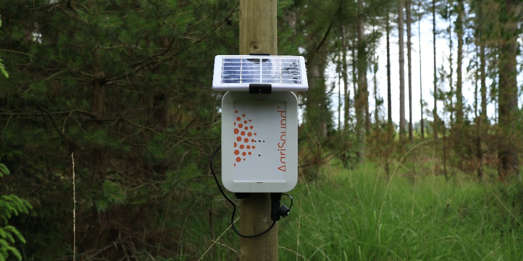 Bees are essential for life &amp; the environment. 🐝🐝
We're using innovative technology to track bee populations &amp; learn how they are changing. This devices listens for wing beats &amp; counts the number of bees. 
This will help inform how we care for #DorsetForests.
#OurWork