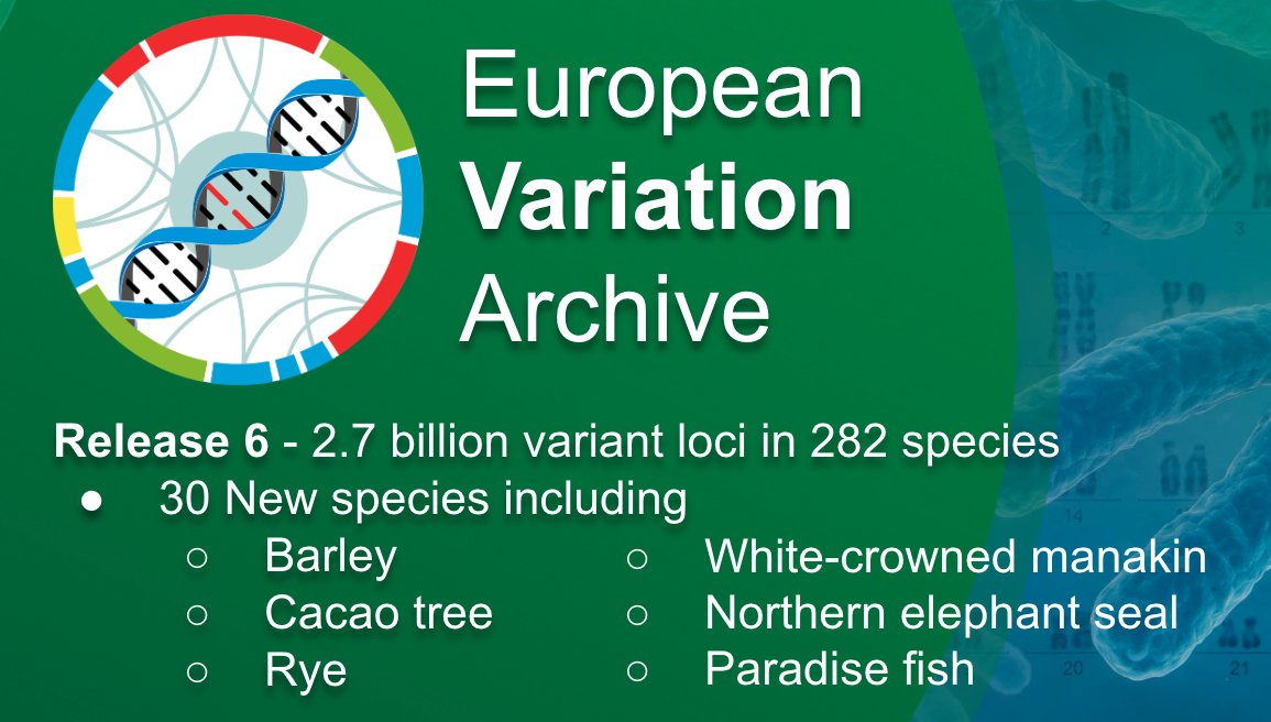 evarchive's tweet image. The EVA team is excited to announce our sixth RS ID release - containing 2.7 billion variants from 282 species.
