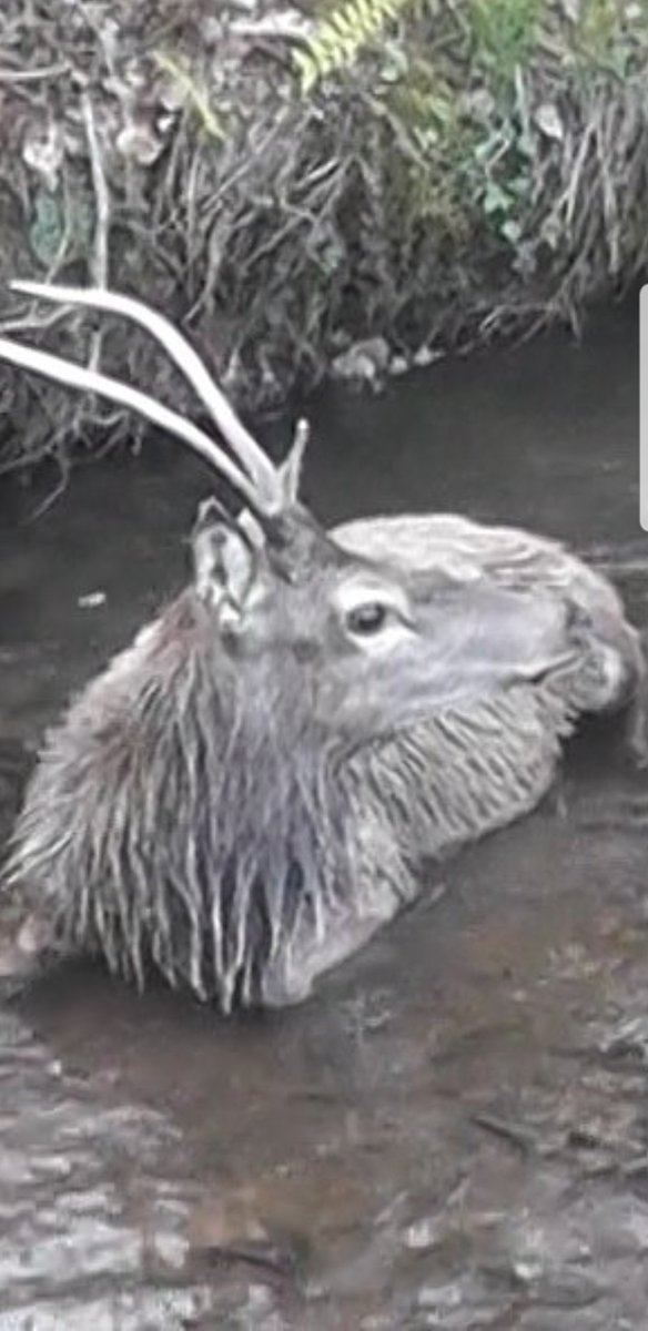 <a href="/ProtectTheWild_/">Protect the Wild</a> <a href="/UKLabour/">The Labour Party</a> NAME ANYONE?