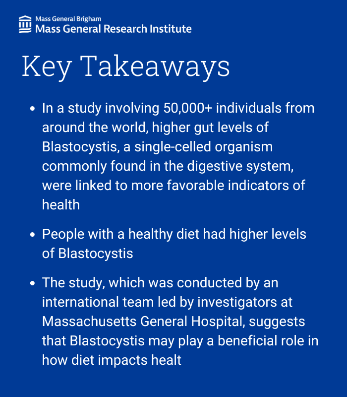 Mass General Brigham Research (@mgbresearchnews) on Twitter photo In a new <a href="/CellCellPress/">Cell</a> study, researchers from <a href="/MGH_CTEU/">Clinical & Translational Epidemiology Unit - MGH</a> <a href="/MGH_GI/">MGH Division of Gastroenterology</a> discovered that a gut microbe could hold a key to helping people benefit from healthy foods.
Read more: massgeneral.org/news/press-rel…
<a href="/hanseul_k/">Hanseul Kim</a> @andychanmd <a href="/hutlab/">hutlab</a> <a href="/cibiocm/">Segata Lab</a> <a href="/fasnicar/">Francesco Asnicar</a> In a new <a href="/CellCellPress/">Cell</a> study, researchers from <a href="/MGH_CTEU/">Clinical & Translational Epidemiology Unit - MGH</a> <a href="/MGH_GI/">MGH Division of Gastroenterology</a> discovered that a gut microbe could hold a key to helping people benefit from healthy foods.
Read more: massgeneral.org/news/press-rel…
<a href="/hanseul_k/">Hanseul Kim</a> @andychanmd <a href="/hutlab/">hutlab</a> <a href="/cibiocm/">Segata Lab</a> <a href="/fasnicar/">Francesco Asnicar</a>
