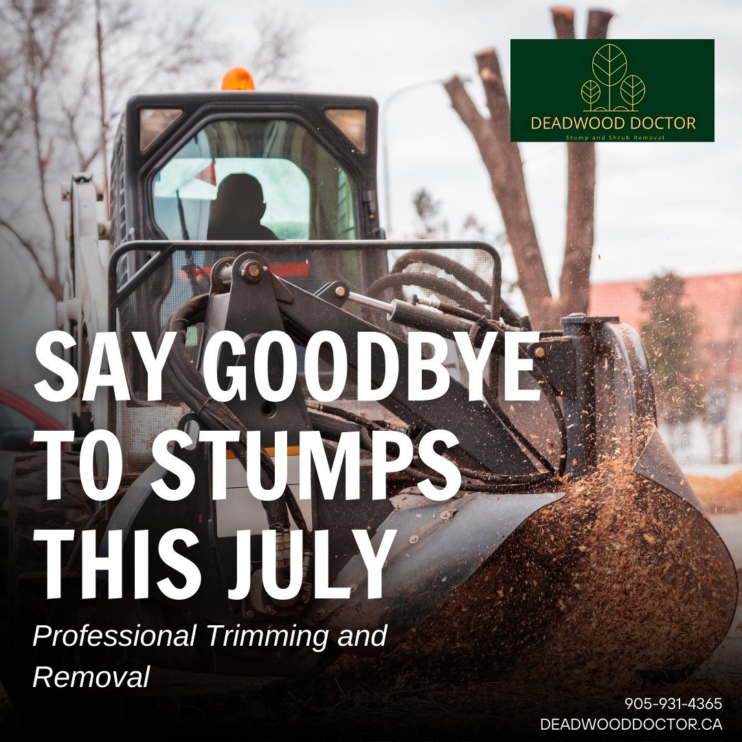 mike_bucsis's tweet image. Time to give those hedges a makeover! 🌿✂️ Whether you need a trim or full removal, Deadwood Doctor is here to help. Contact us for a free estimate and see the difference. Visit deadwooddoctor.ca to learn more. Enjoy a well-maintained garden you can be proud of. #HedgeTrim