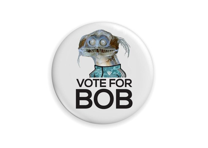MattPPea's tweet photo. There is only 1 candidate who can unite America.
@BobtheFella
#voteforbob https://t.co/iwY8uGowXW