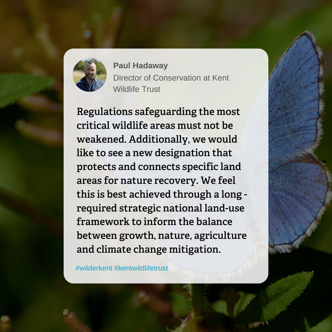 📢Read our Director of Conservation <a href="/PaulHadaway3/">PaulHadaway</a>'s reaction to <a href="/RachelReevesMP/">Rachel Reeves</a> announcement to "get Britain building again." 

More in our blog 👉kentwildlifetrust.org.uk/blog/how-new-u…