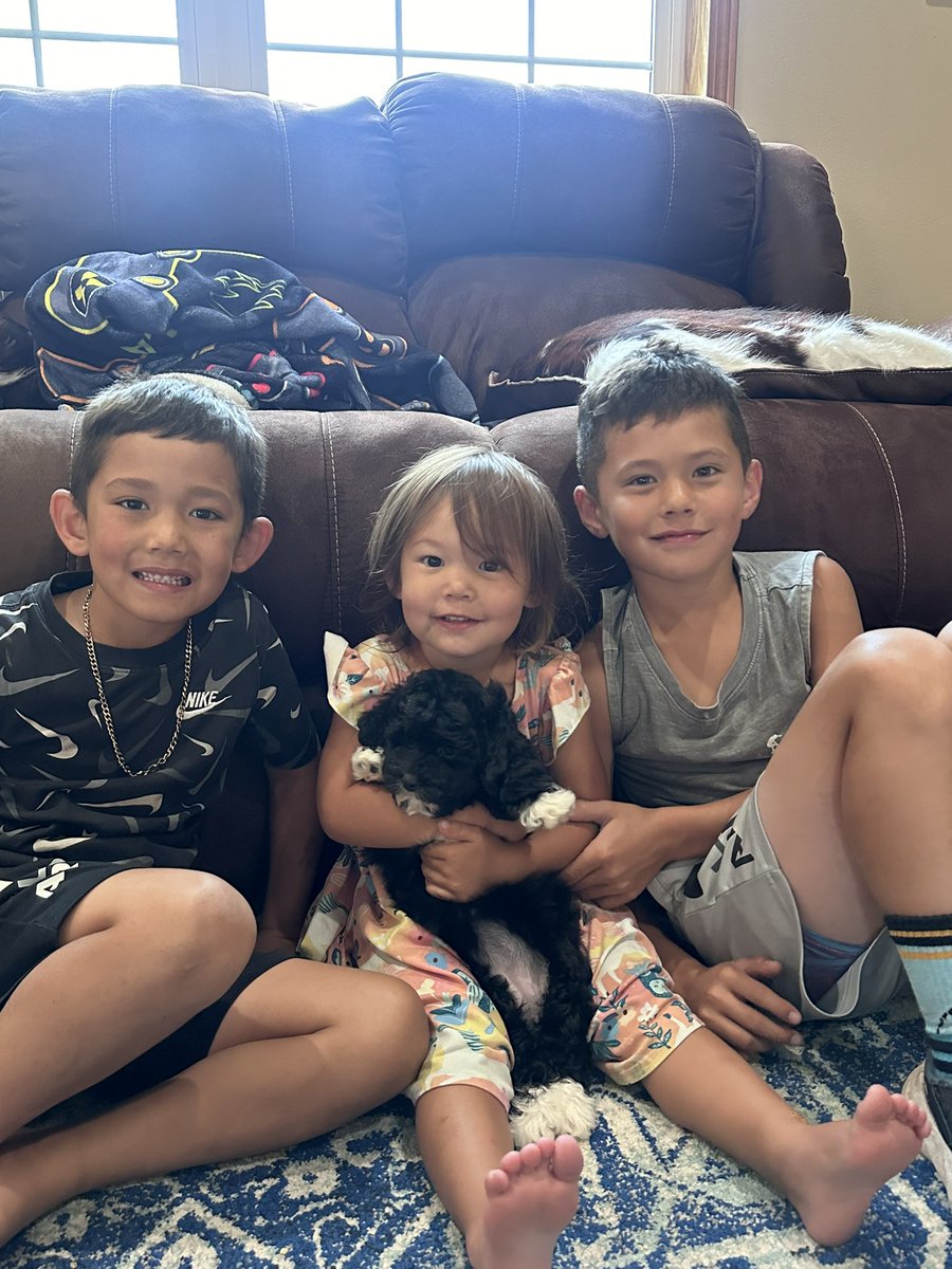 8AsianSensation's tweet photo. We welcomed Mika to the family today! https://t.co/OodcrTnT9T