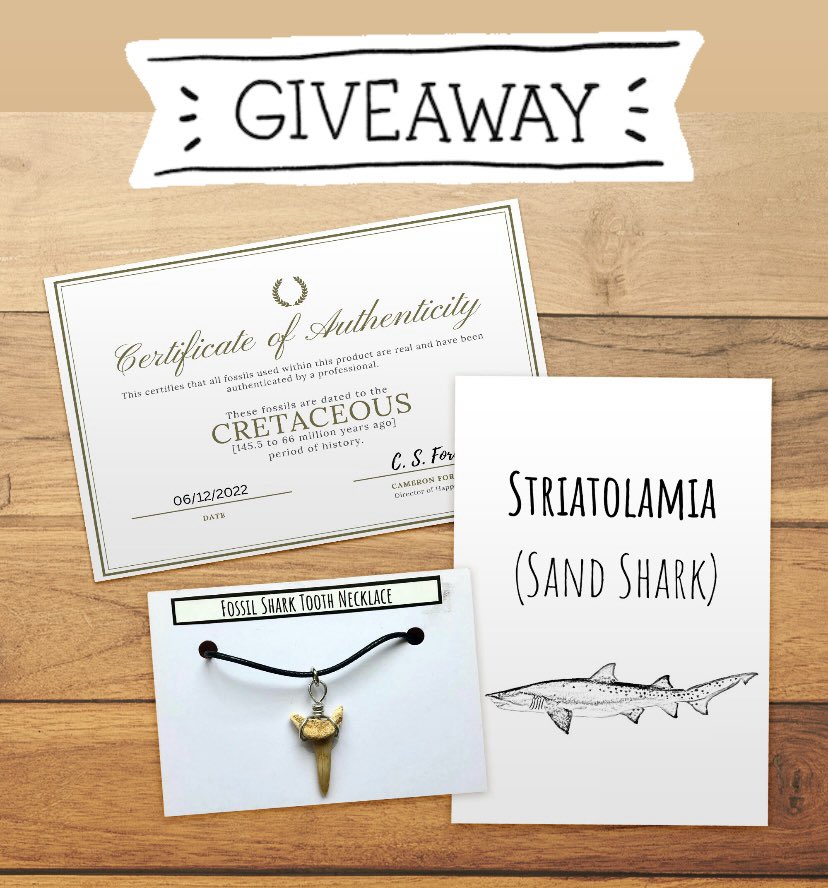 happyfossils's tweet image. 🦈🦈 #SHARKWEEK GIVEAWAY 🦈🦈

To enter:
📌 Follow @happyfossils
📌 Tag 2 friends in reply💙
📌 RT and like this 🎉

Note: Extra comments/tags do not give extra entries - but you are more than welcome to do it and promote our giveaway and message further!