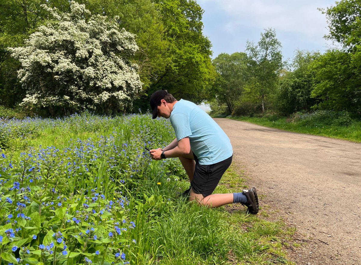Have you added 'BioBlitzing' to your summer activity list? ✔️🌸

It's quick, free and slightly addictive... 🌷🌼🌻

Find out more 👉essexwt.org.uk/essex-bioblitz