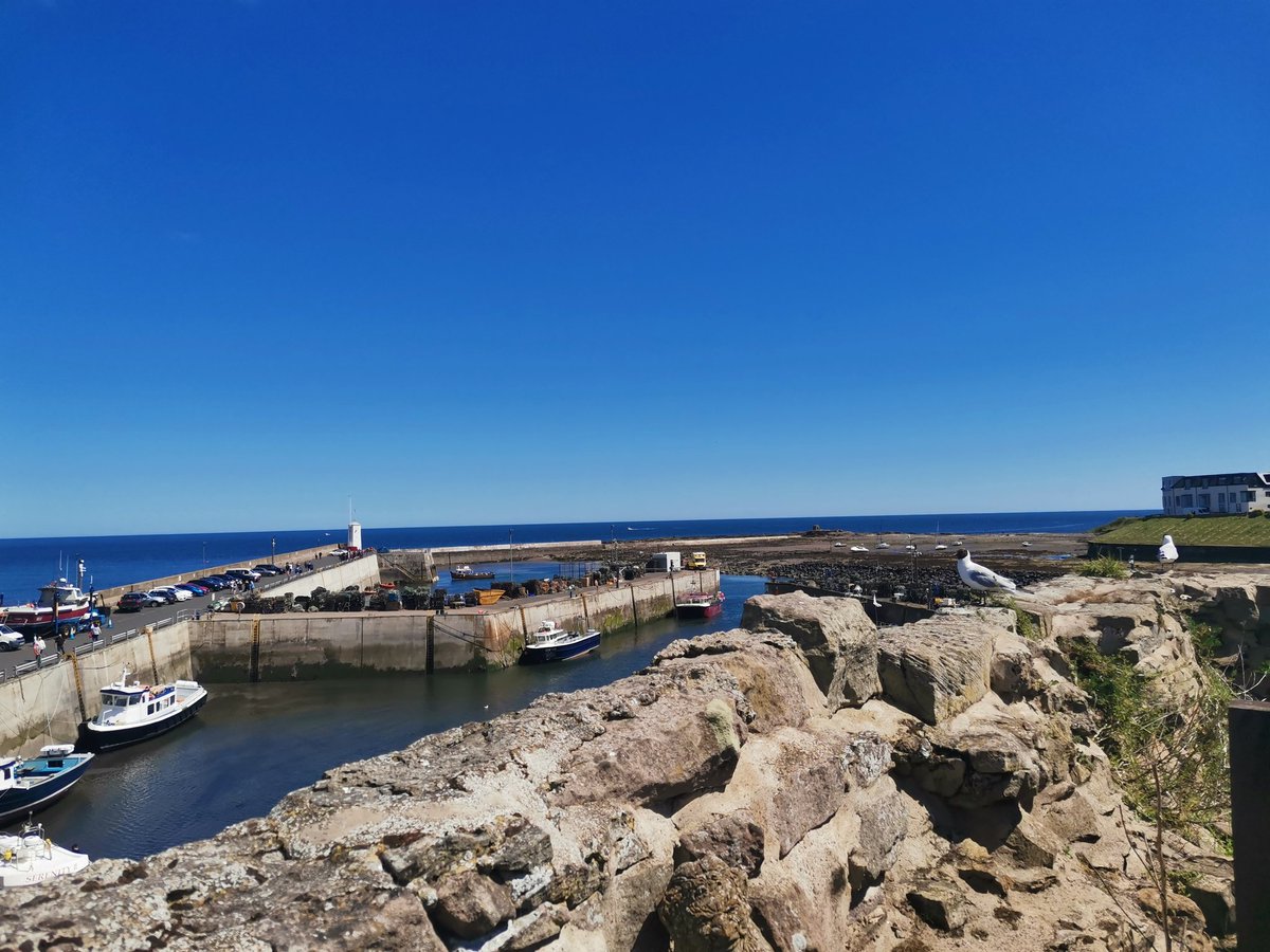 Our first day trip as part of our #BeConnected community project  has been a huge success.

Thanks to <a href="/NorthEast_CA/">North East Combined Authority</a> #LevellingUp funding we were able to offer FREE coach travel for over 30 North Tyneside residents to Seahouses. 

#UKSPF #communitysupport #CommunityEngagement