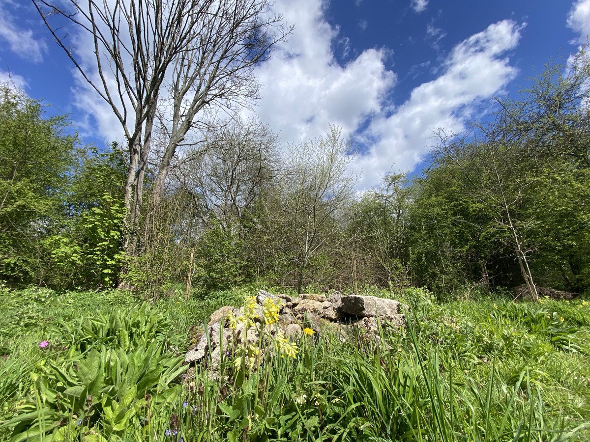 Julian Cooper tweet media