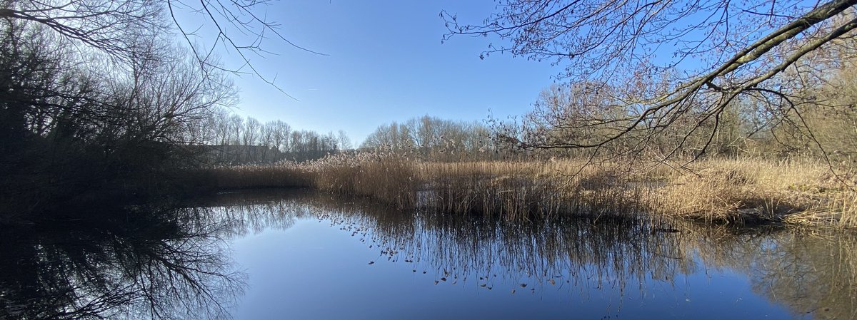 Julian Cooper tweet media