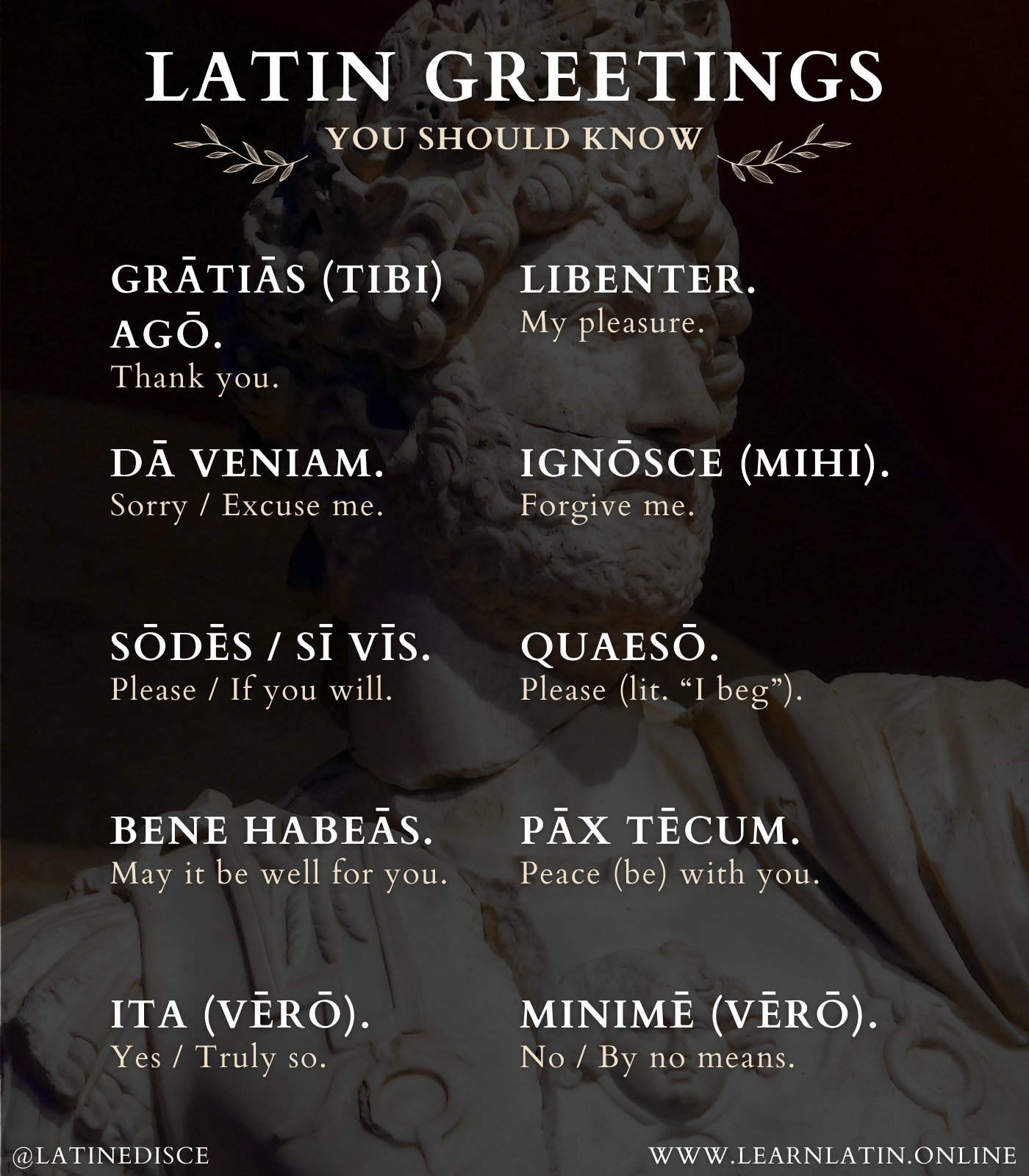 amazing-latin-quotes-10-latin-phrases-that-will-make-you-want-to-do