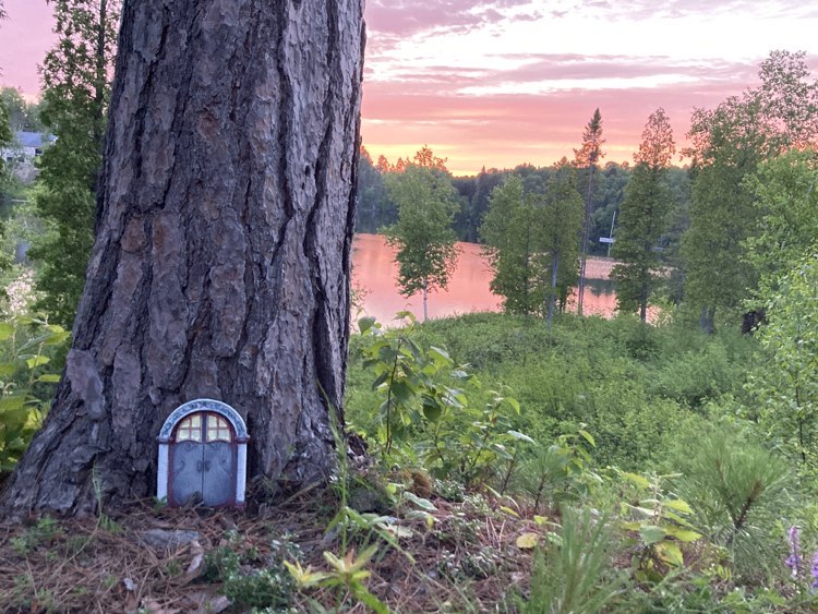 A gnome has set up their house last weekend...