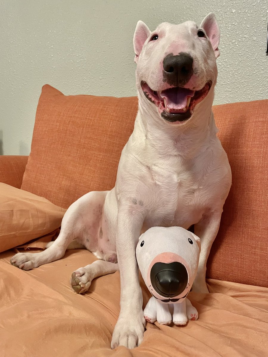 You only have 22 days to acquire your second edition Walter plush. Go get that dog!
🚒💨  🛻💨 

makeship.com/products/walte…