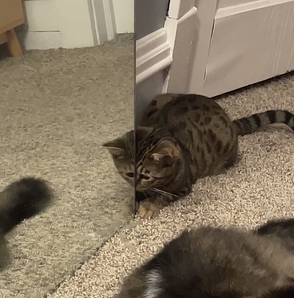 hunter waldera tweet media