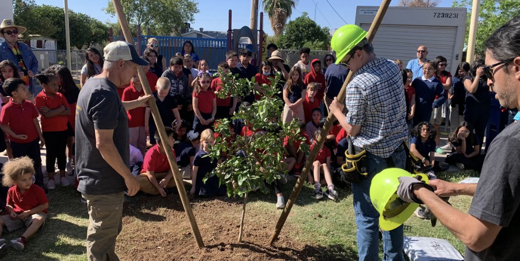 ChispaAZ's tweet image. In 2023, we teamed up with @MitziEpstein, @TreesMatterAZ, Tiger Mountain and @TCBTrees4Tucson on #TreesForKids legislation, focusing on shade equity and environmental justice. 🌳n April, Concordia Charter School students planted 15 native &amp;amp; edible trees in Mesa, AZ! 🌱🍊🍎