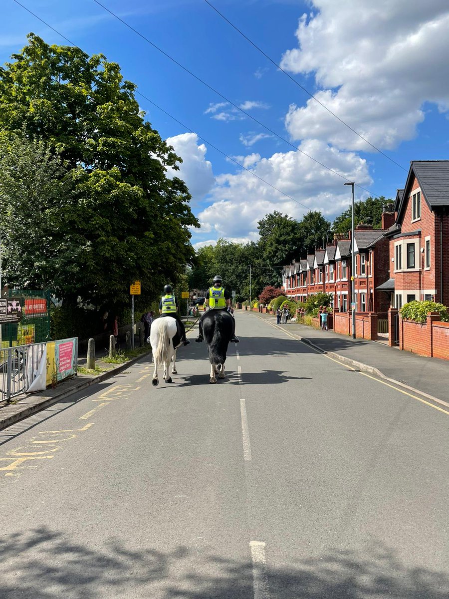 brookburnactive's tweet image. Beautiful day on the @BrookburnP #schoolstreet today, with some lesser seen, lovely  active travellers passing by in the #chorlton sunshine 🐴🐴