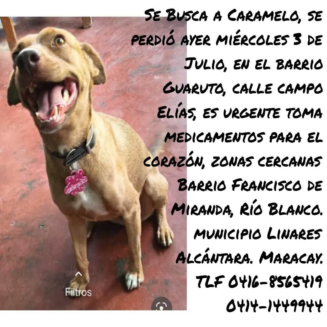 #AyudarNosHaceBien #Rts #Maracay #AdoptaNoCompres  #Ayuda a #Difundir <a href="/CarmenZR04/">Rescata</a> <a href="/CAROLPUERTAS/">Carol Gates</a> <a href="/yaracalcagno/">yara calcagno</a> <a href="/JosCarreo3/">Josep Carpan</a> <a href="/jacquim33/">Jacqueline Camargo</a> <a href="/m181helen/">cionin</a> <a href="/Ciudadana_2020/">Annie</a> @arpacuatros <a href="/fevranimal/">@fevranimal</a> <a href="/jacquim33/">Jacqueline Camargo</a> <a href="/karolgperez/">Karol G. Pérez de Reeves</a> <a href="/VIRCOR1305/">Virginia Reina</a> <a href="/tanguesi/">Morella Hernández</a> <a href="/tula_ve/">TULA</a> <a href="/teresitaros/">Teresa Ros</a> <a href="/antonieta3za/">antonieta trezza</a> <a href="/athyss/">athys</a>