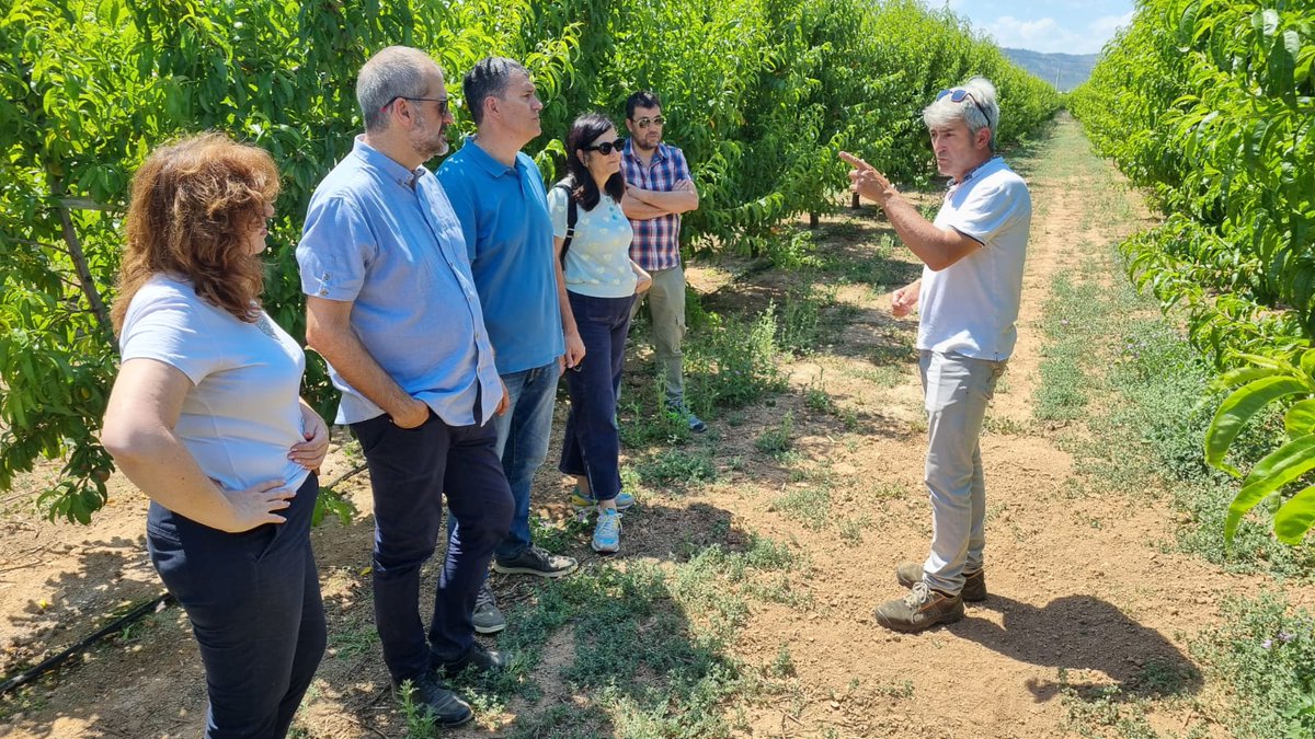 Hace unos días visitábamos La Almunia de Doña Godina, donde nos reunimos con Paidas, para conocer los daños que están produciendo los conejos en 130 municipios aragoneses.
Se necesitan ayudas directas y  fomentar proyectos de investigación, que ayuden a resolver el problema.