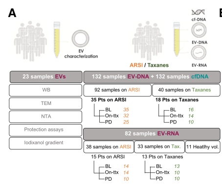 quimmateo's tweet photo. New paper from the lab @VHIO is out in @Cancer_Cell: dual DNA/mRNA profiling from circulating EVs in #prostatecancer liquid biopsies
Team-science work led by our own @ICasanovaSalas 
https://t.co/k4IDJRtcE1 https://t.co/BobiB1l3pc