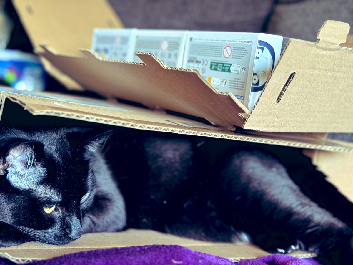 SativaShower's tweet image. The Worst @EQLofficial @Funko Grail Mystery Box ? 📦 🗑️😶‍🌫️
#Funkomysterybox 
it was GrailBox 2
@tdragons345 
💩 🤣🫠

* At least Sully Enjoys the Box 💜