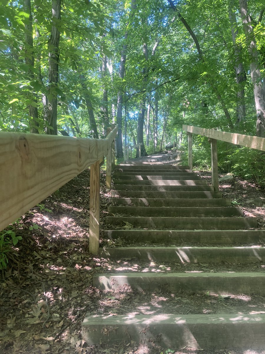 betterlabdh's tweet photo. When in Ann Arbor @UMich for @IvyLeague and @bigten #concussion meeting, a morning run at Nichols Arboretum is a must! A nod to @drtinamaster and @griz1 - always posting pics of their #concussion conference runs! https://t.co/uwYO8VQiG3