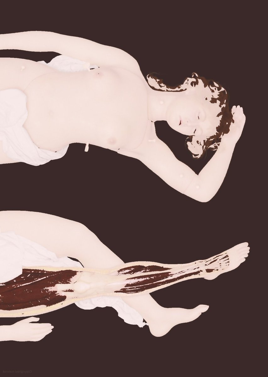 ᅠ𝐊𝐄𝐔𝐌𝐈,ᅠ𝕸.ᅠ (@bornwraith) on Twitter photo 