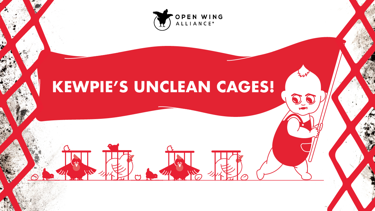 jonrcamp's tweet photo. @kewpiefc Keeping egg-laying hens in small cages is unclean and unethical. I won’t buy @kewpie_official products until you choose cage-free eggs! #UncleanKewpieEggs https://t.co/c6mkEFunNO