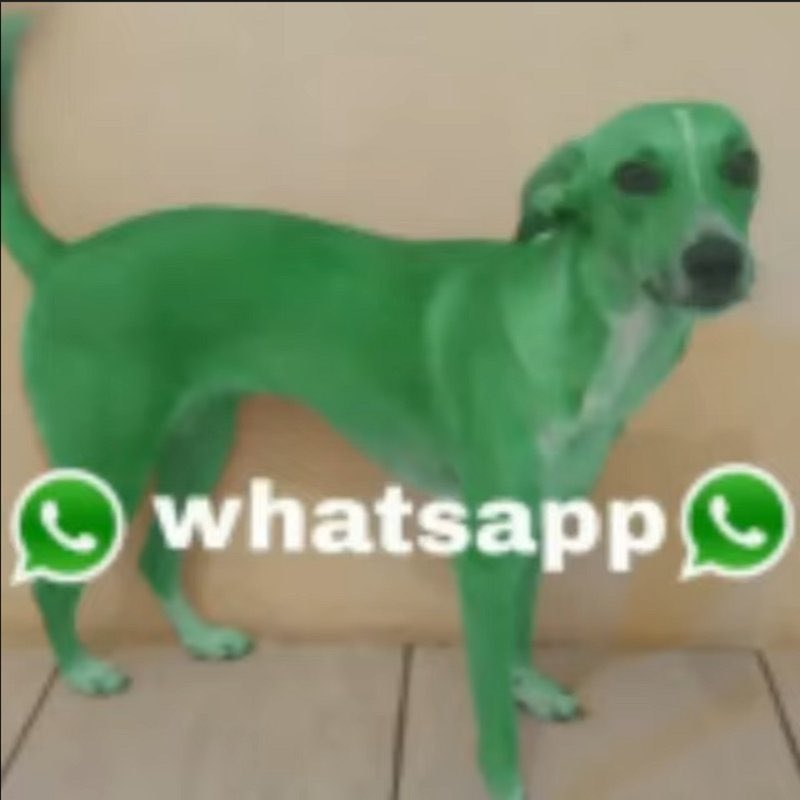 Enderman tweet media