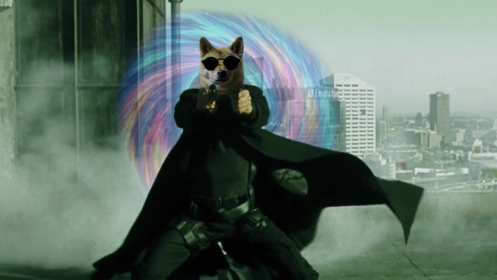 DogeVerse tweet media