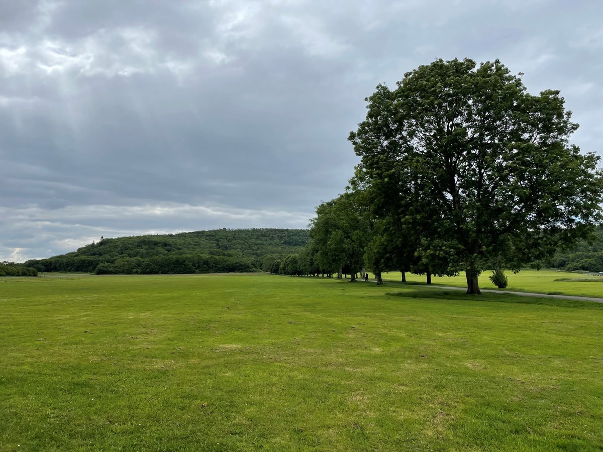cardiffcouncil's tweet photo. An eight-week public consultation on plans to protect 11 parks in Cardiff with @fieldsintrust to ensure they remain publicly accessible green spaces, has been launched.
Find out more, including how you can have your say on the plans, here: https://t.co/HFr6i1xmLD https://t.co/dn73VHuoa0