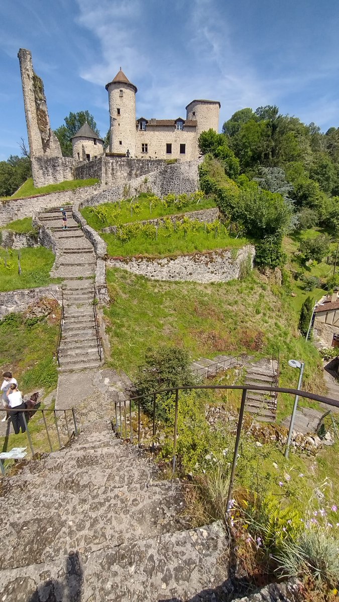 Hazel McCrea tweet media